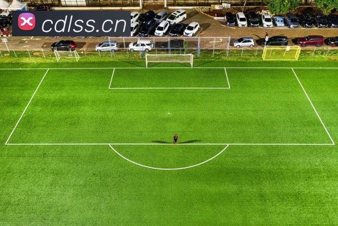 ayx爱游官方网站发展历程